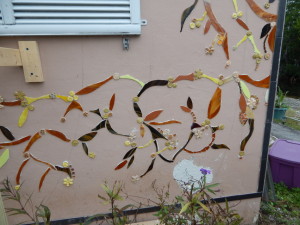 DSCN0084