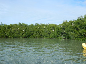 DSCN0112