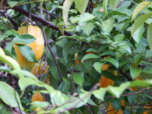 DSCN0192