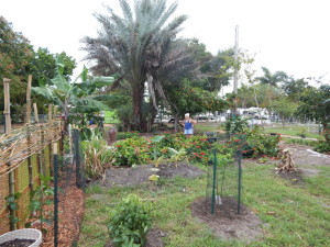 DSCN0207